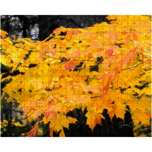 Puzzle - Autumn's Glory