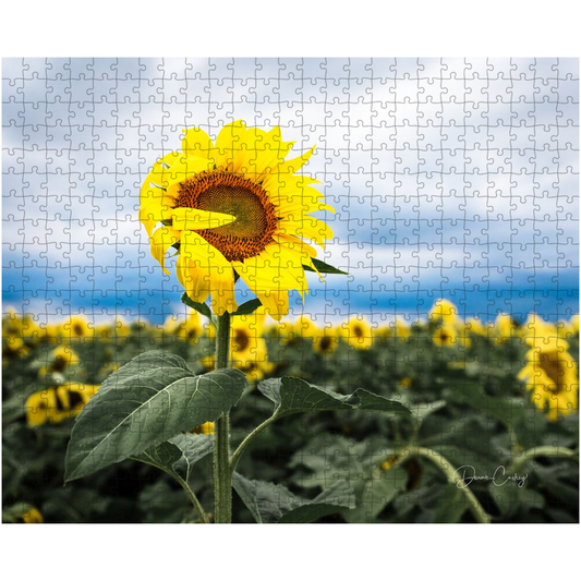 Puzzle - Shy Sunflower