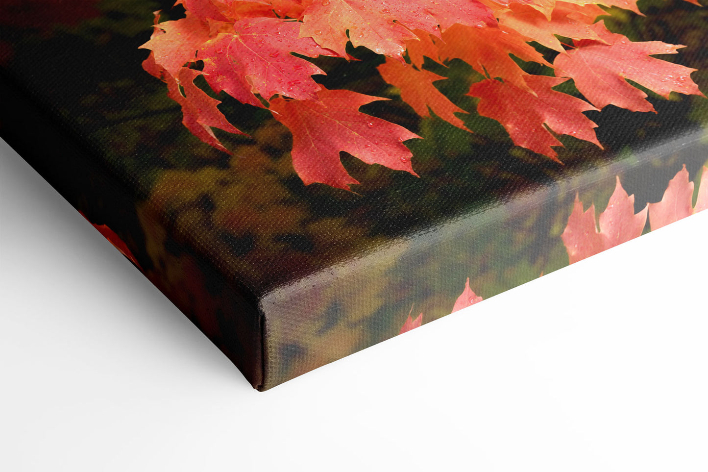 Autumn's Fiery Maple Michigan fine art print on canvas by Dennis Caskey
