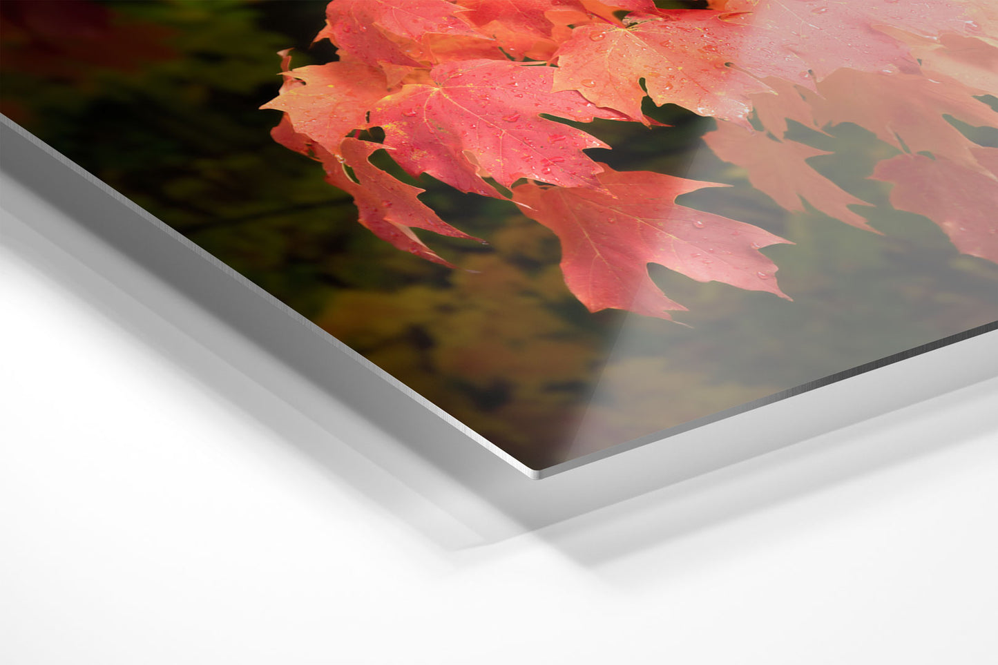Autumn's Fiery Maple Michigan fine art print on metal by Dennis Caskey