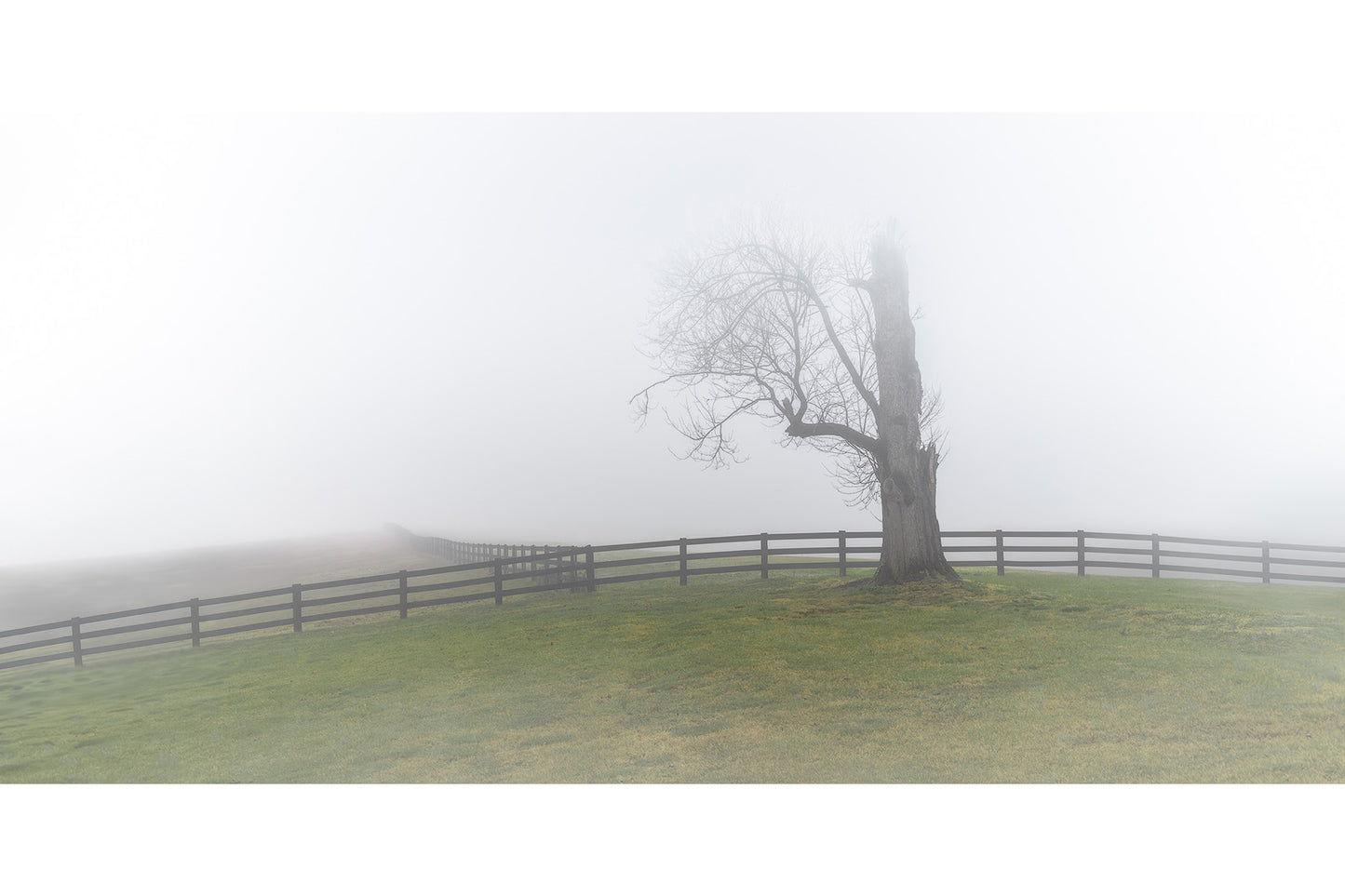 Fading Sentinel Michigan fine art print by Dennis Caskey