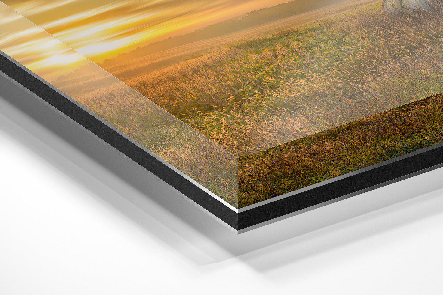 Harvest Sunrise Michigan fine art print on acrylic by Dennis Caskey