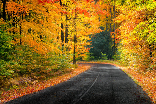 How to Choose Fine Art Photography for Your Home