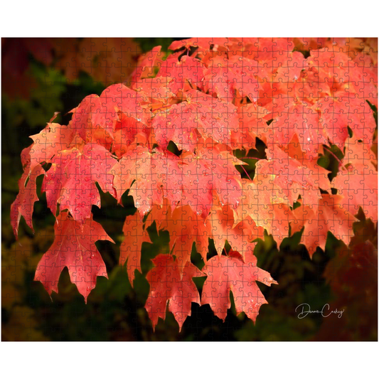 Puzzle - Autumn's Fiery Maple