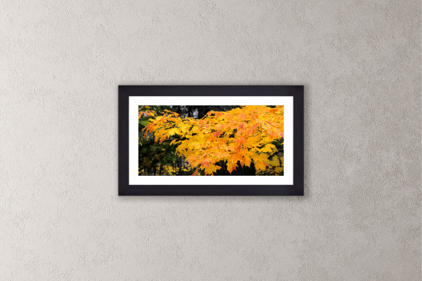 Autumn's Glory Michigan fine art print in a small black frame by Dennis Caskey