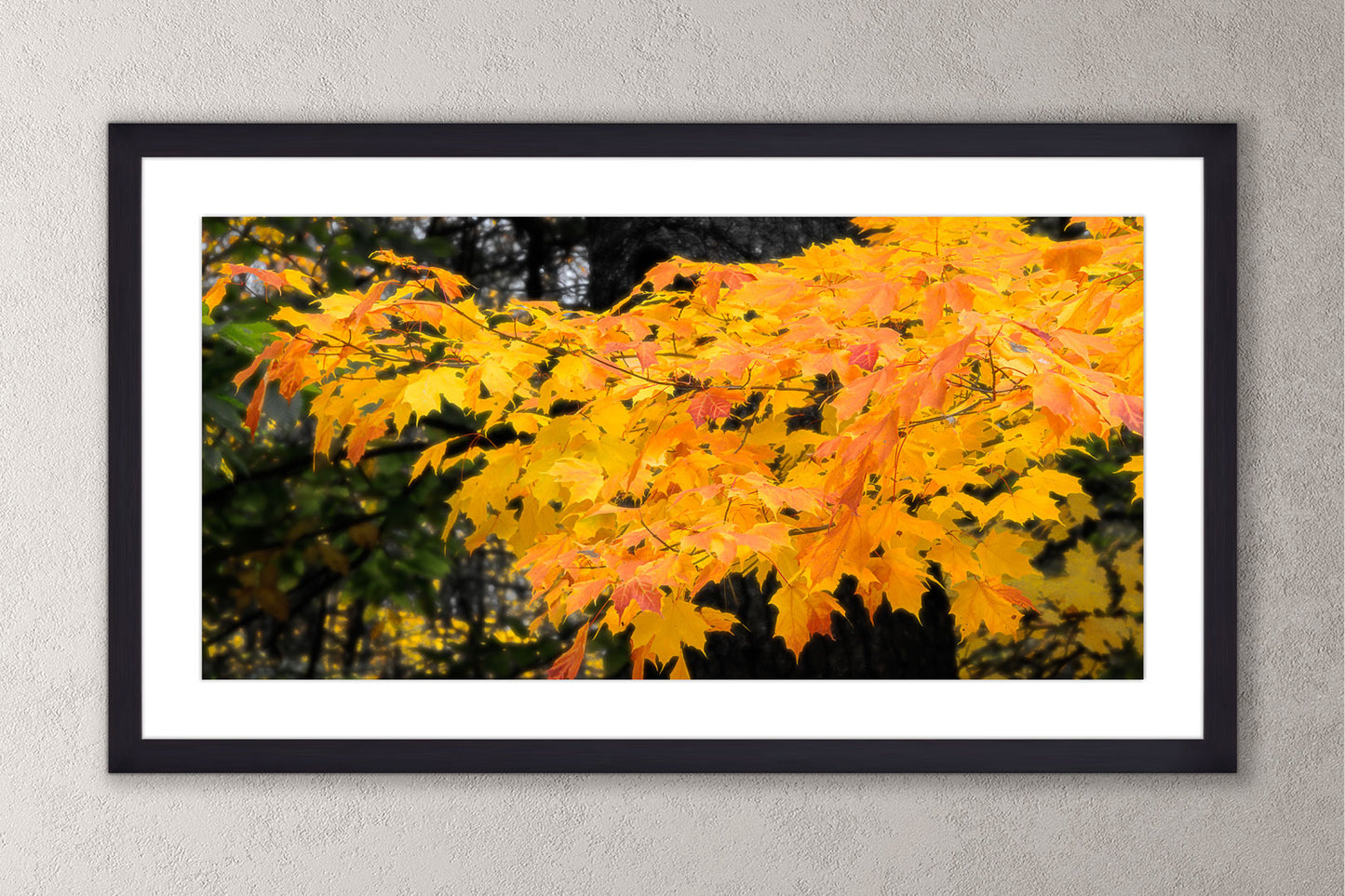 Autumn's Glory Michigan fine art print in a large black frame by Dennis Caskey