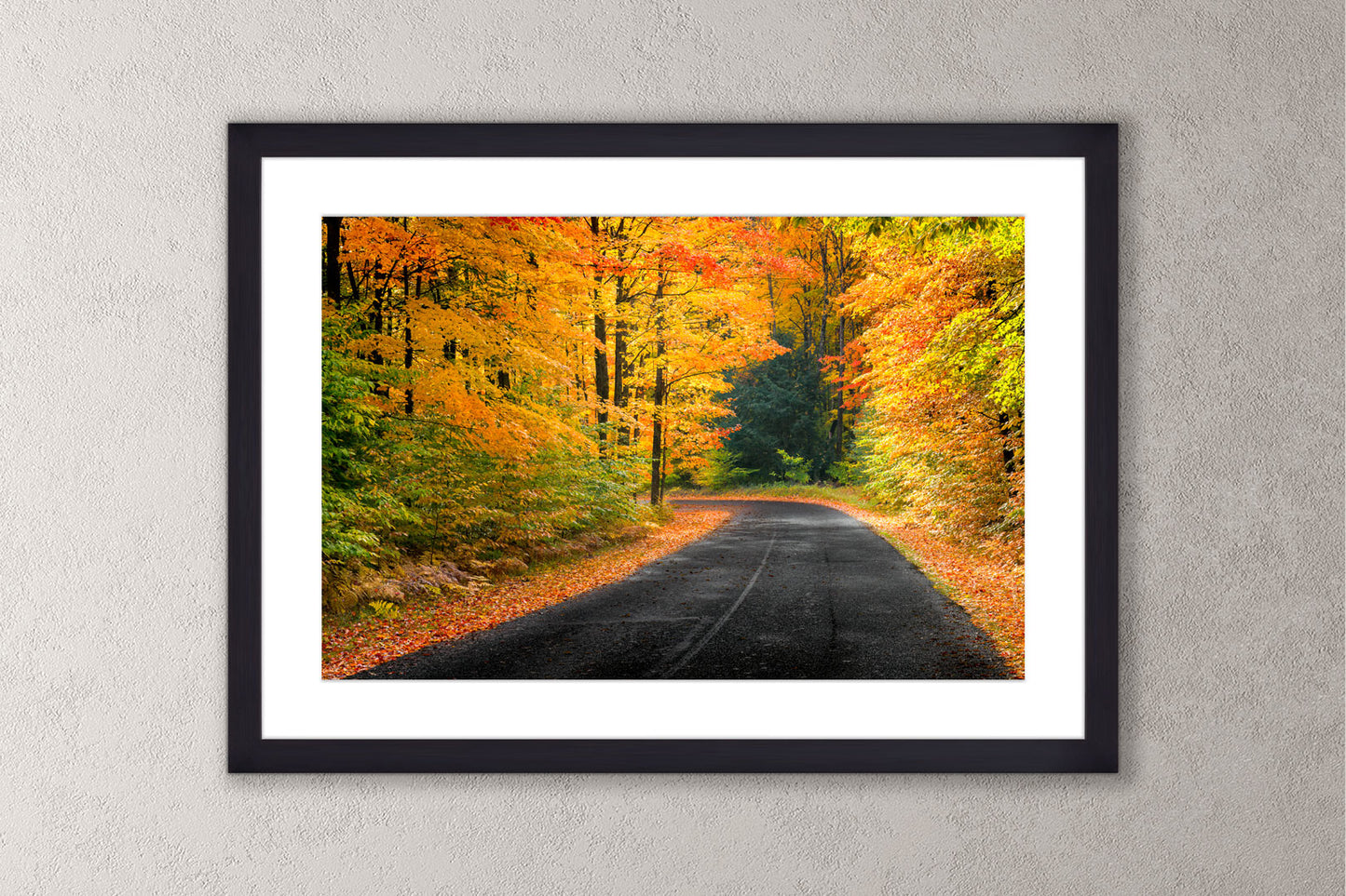 Autumn's Road