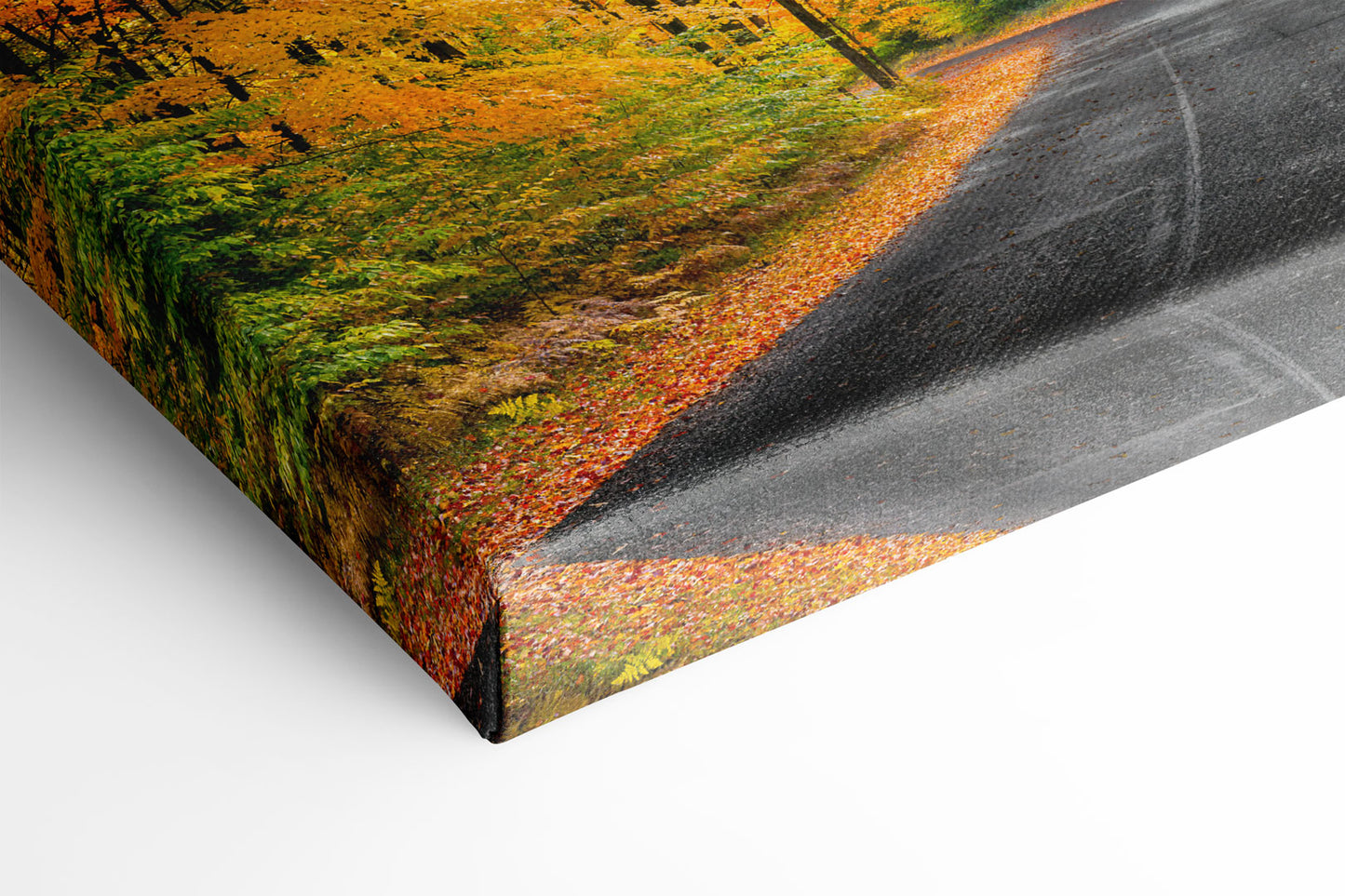 Autumn's Road Michigan fine art print on canvas by Dennis Caskey