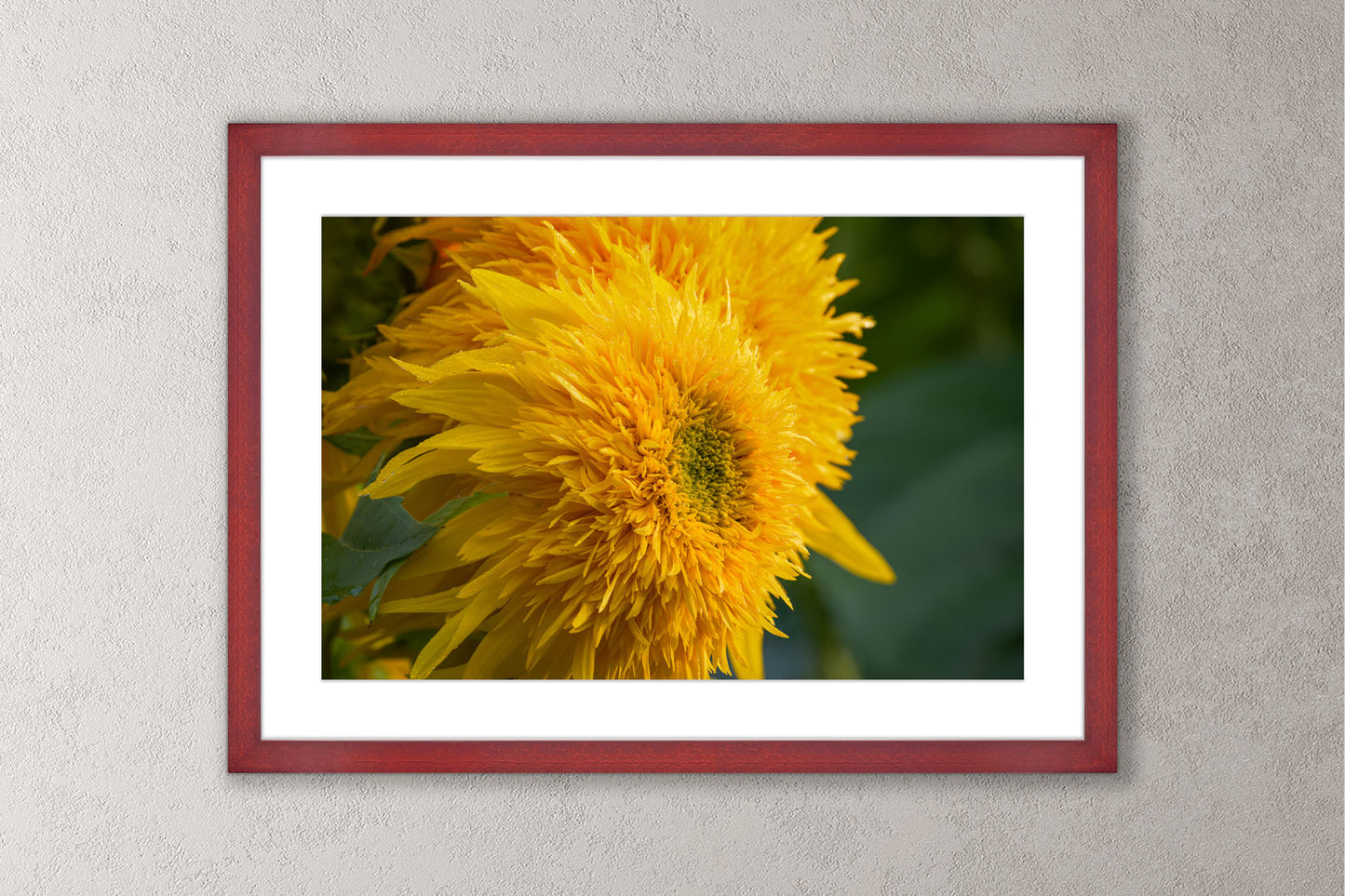 Blooming Sunshine Michigan fine art print in a large cherry frame by Dennis Caskey