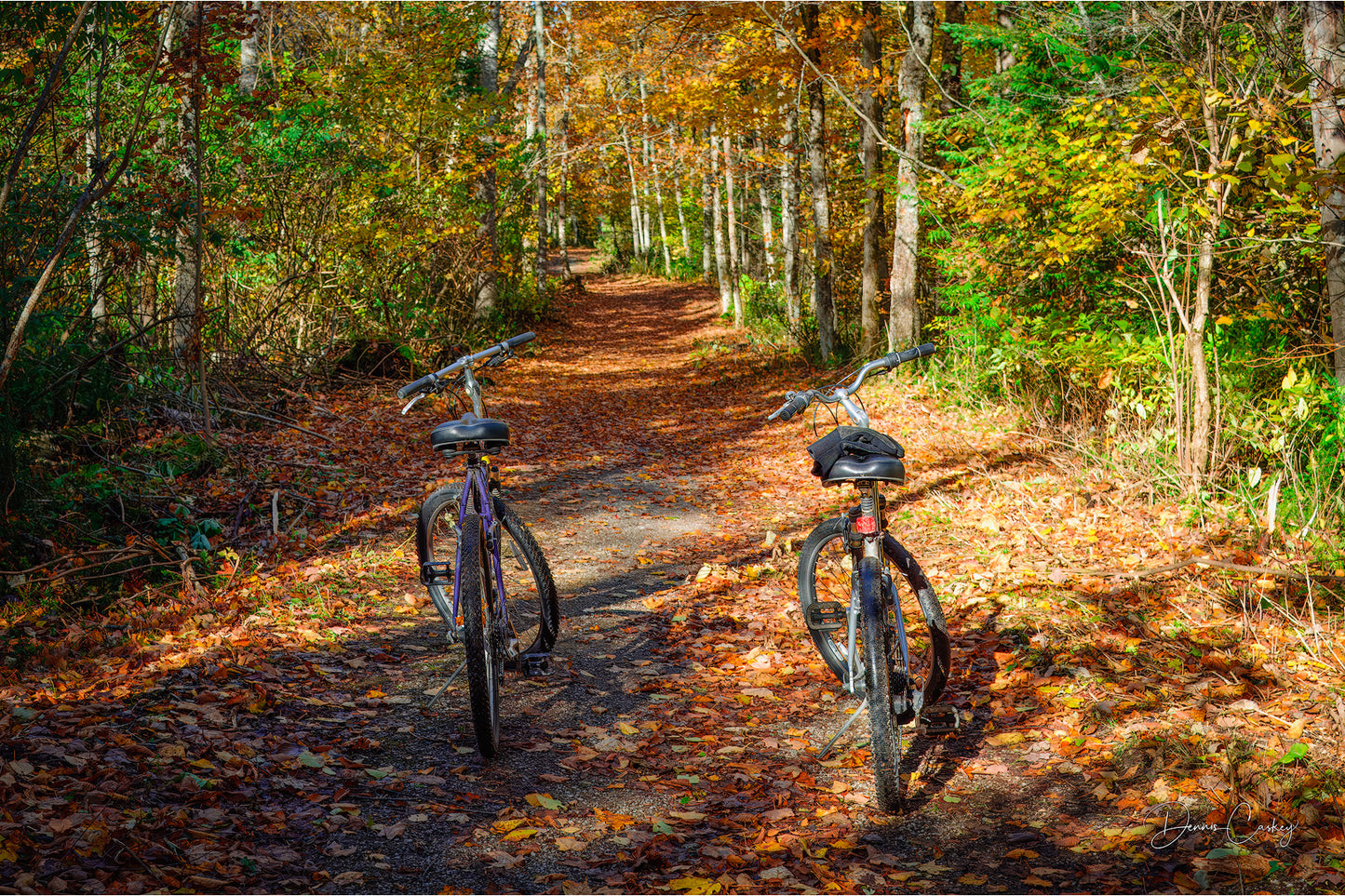 Two bikes on Scott’s Road in Mackinac Island during autumn, fall foliage, Michigan nature photography