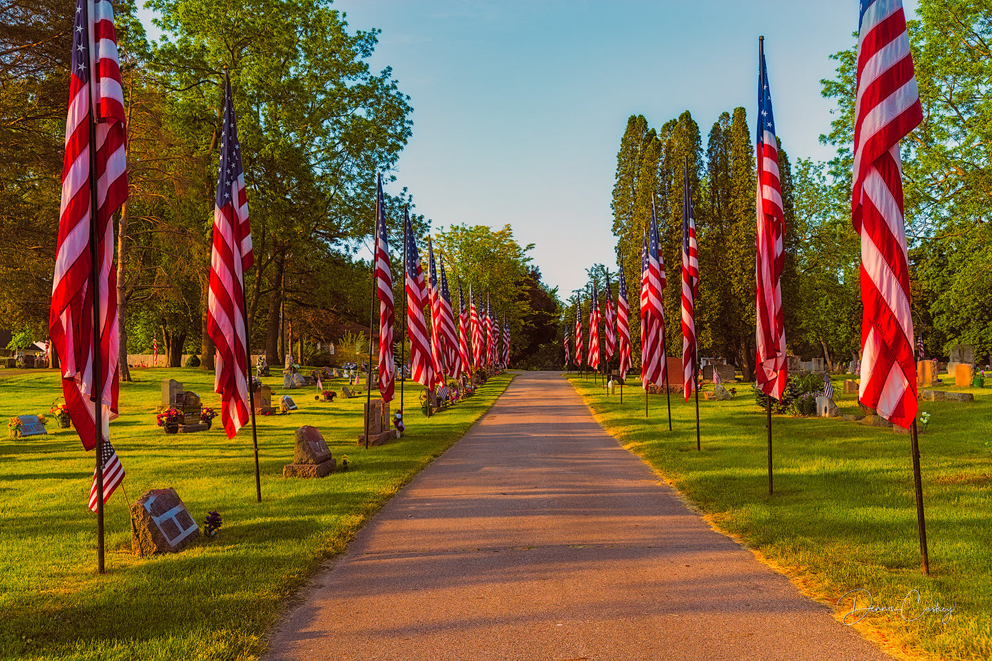 Cemetery road lined with American flags on Memorial Day stock photo by Dennis Caskey