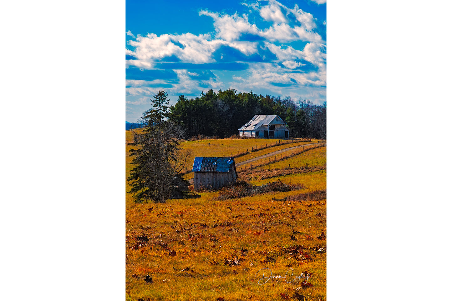 old barns along dirt road, Michigan countryside, rural Michigan photography, rustic barn photo, Michigan stock photo