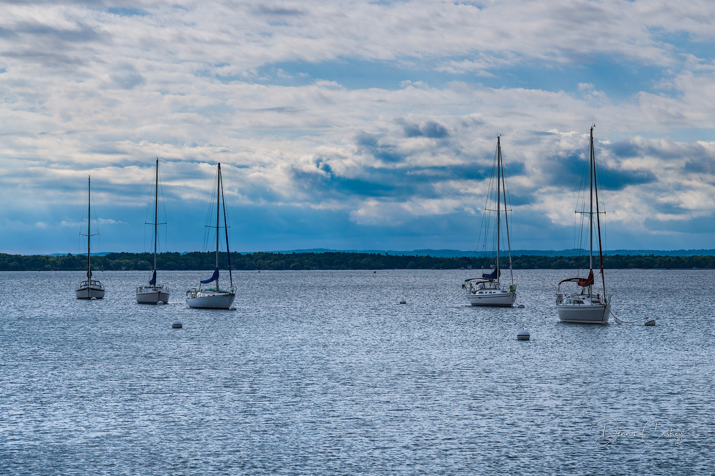 Sailboats moored in Grand Traverse Bay stock photo by Dennis Caskey