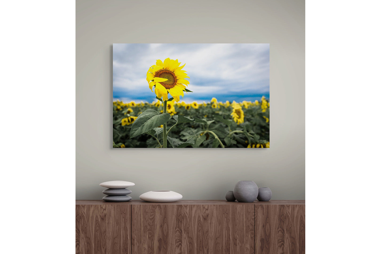 Shy Sunflower Michigan fine art print by Dennis Caskey displayed over a mantle