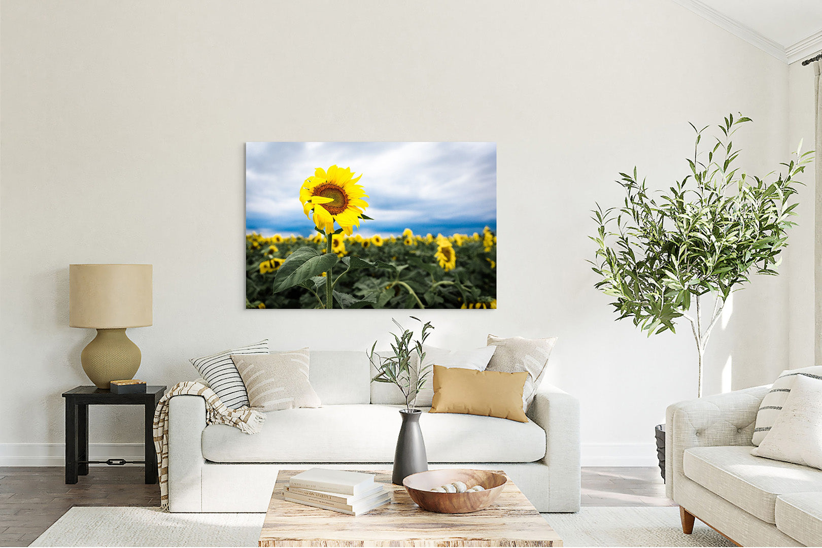 Shy Sunflower Michigan fine art print by Dennis Caskey in a living room setting