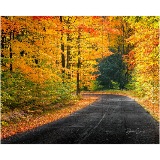 Puzzle - Autumn's Road